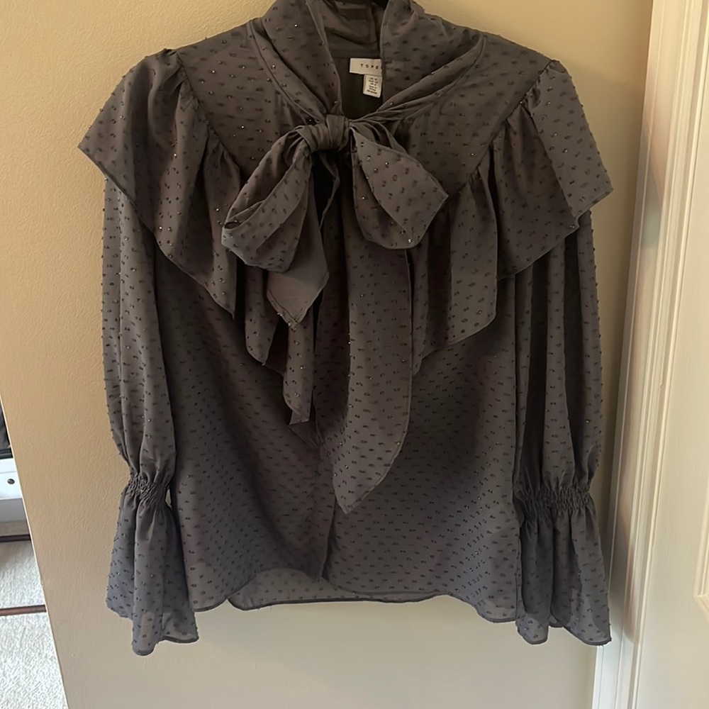 Sheer/Shimmer Blouse